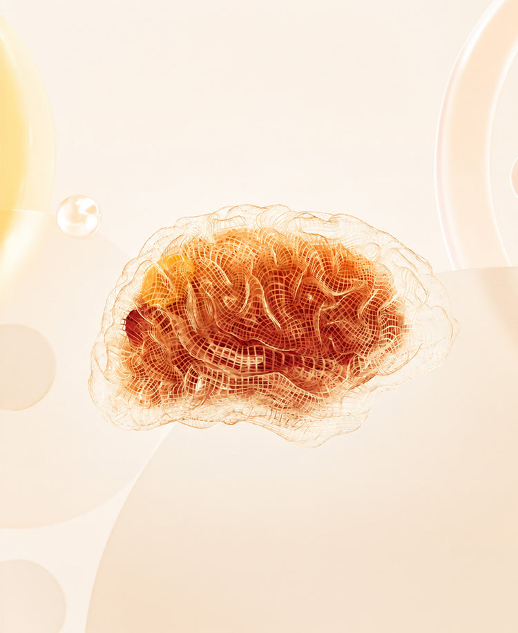 Illustrated wireframe brain on warm grid
