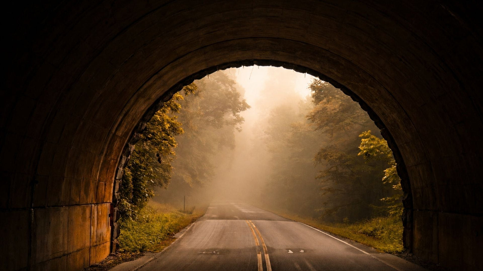 Misty tunnel at dawn to represent tunnel vision and migraine aura for an article about aura migraines without headache or silent migraine