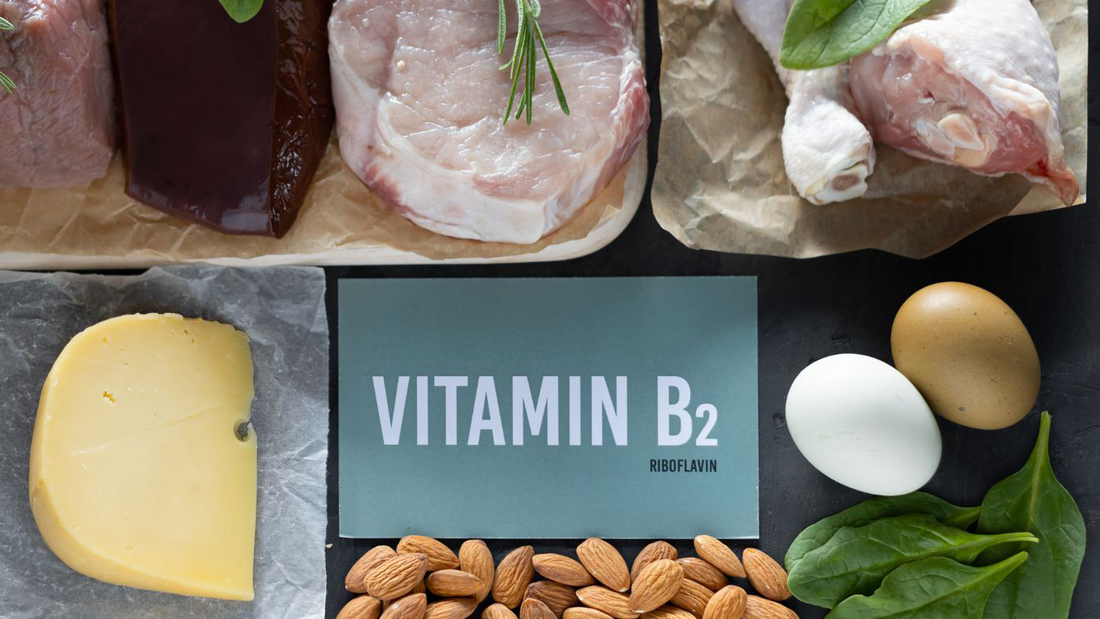 Unlocking the Power of Riboflavin: A Key Player in Brain Health, Metabolism, and Migraine