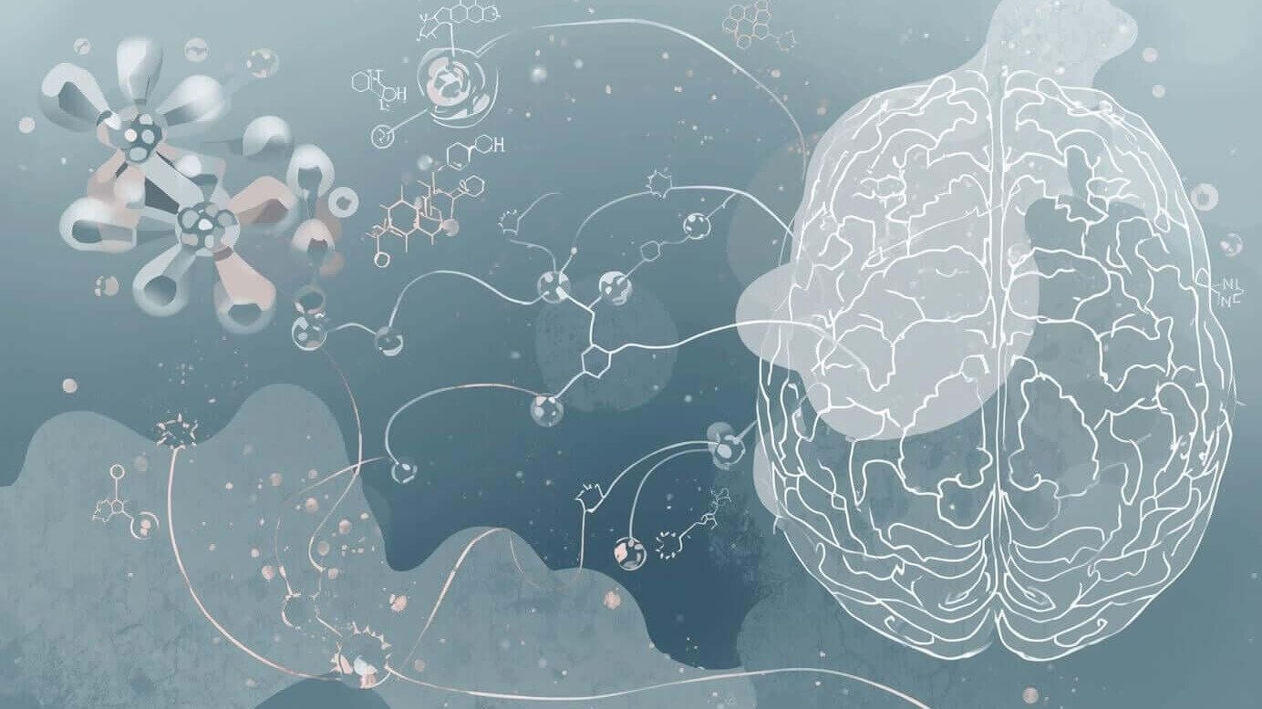 Hormones and migraines affecting brain energy and sensory processing