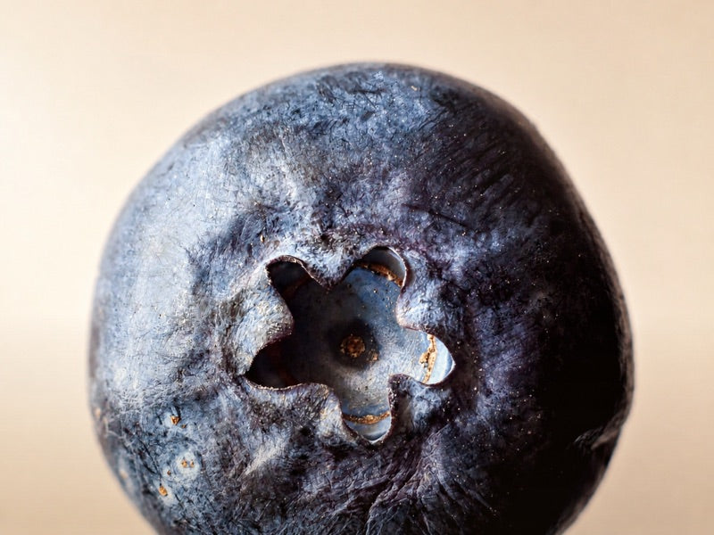 Dark macro texture