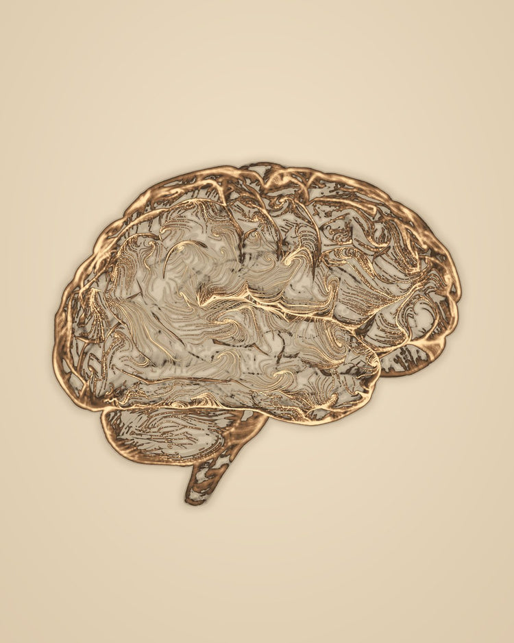 Gold-toned illustration of a brain