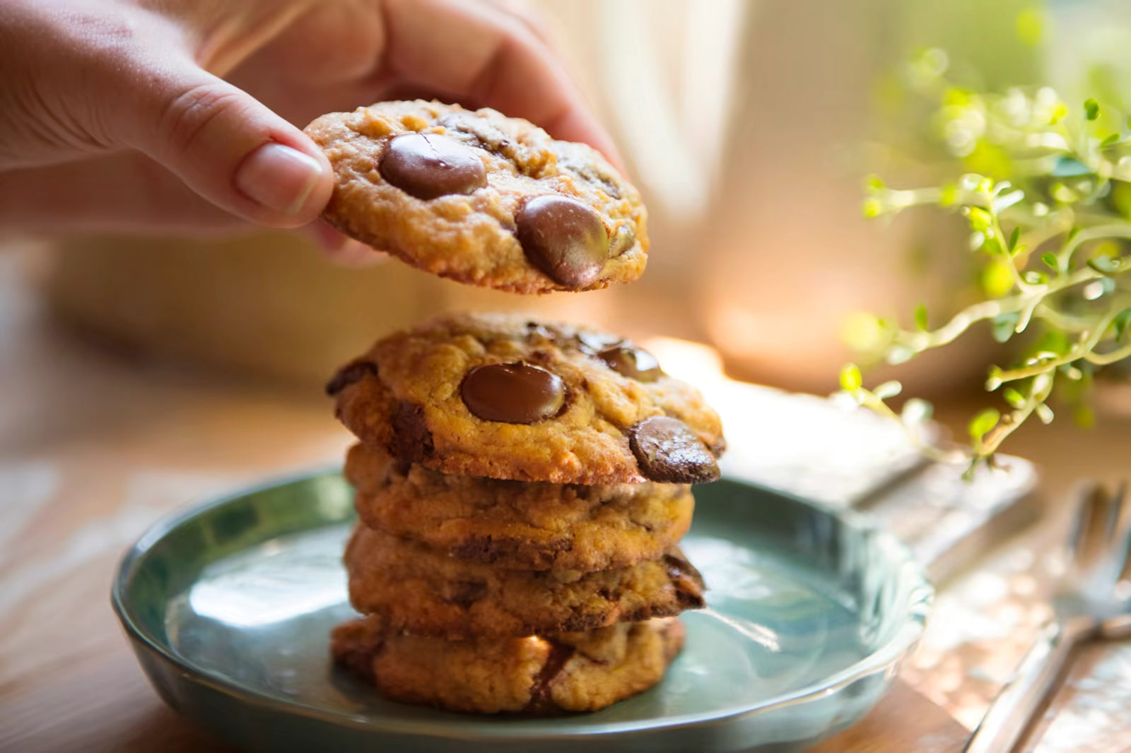 Hand placing a chocolate chip cookie on a stack of cookies in warm natural light
